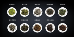 2023中国十大名茶排名（中国十大名