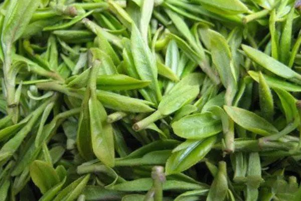 四川茶叶品牌大全_四川十大名茶排行榜(名称特点介绍)