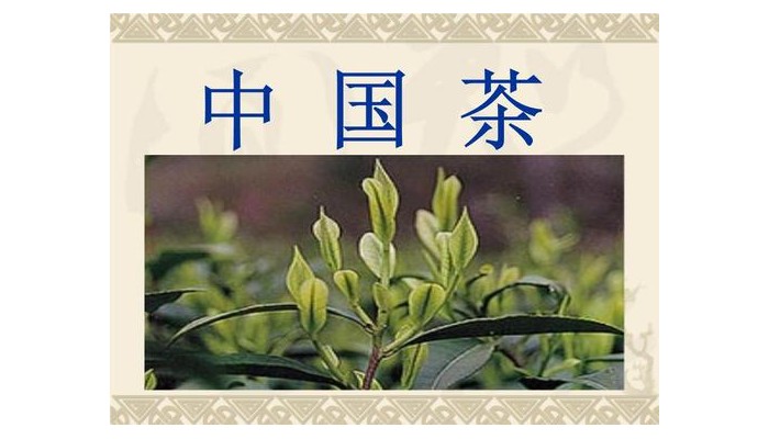 中国茶文化与茶健康