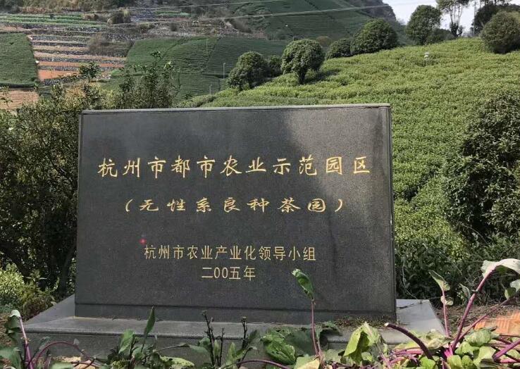 西双版纳州发布《普洱茶标准体系表》地方标准